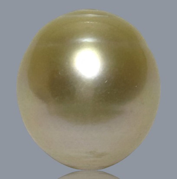 Giant 15 x 16.6mm 26.8 Carats Natural Gold South Sea Loose Pearl