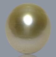 Giant 15 x 16.6mm 26.8 Carats Natural Gold South Sea Loose Pearl