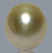 Giant 15 x 16.6mm 26.8 Carats Natural Gold South Sea Loose Pearl