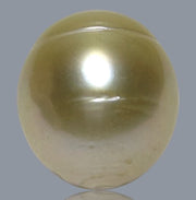 Giant 15 x 16.6mm 26.8 Carats Natural Gold South Sea Loose Pearl