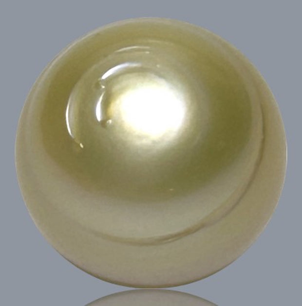 Giant 15 x 16.6mm 26.8 Carats Natural Gold South Sea Loose Pearl