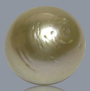 Giant 15 x 16.6mm 26.8 Carats Natural Gold South Sea Loose Pearl