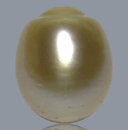 Smooth 13.9 x 16.4mm 23.6 Carats Gold South Sea Pearl Loose