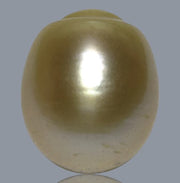 Smooth 13.9 x 16.4mm 23.6 Carats Gold South Sea Pearl Loose