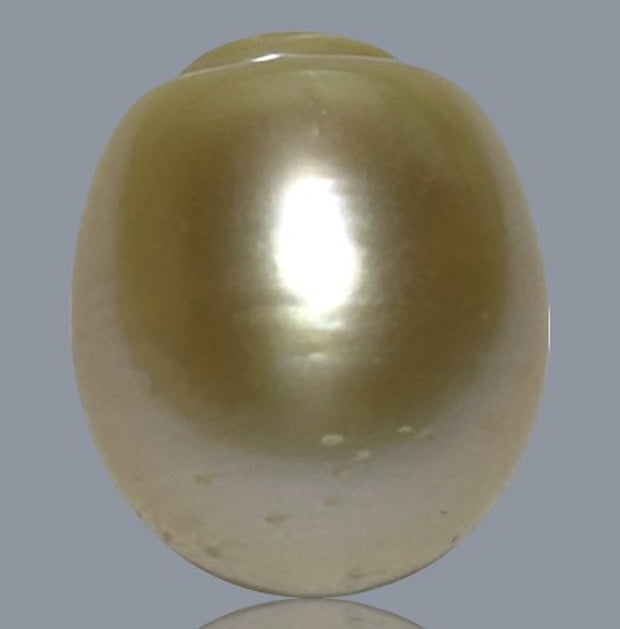 Smooth 13.9 x 16.4mm 23.6 Carats Gold South Sea Pearl Loose