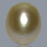 Smooth 13.9 x 16.4mm 23.6 Carats Gold South Sea Pearl Loose