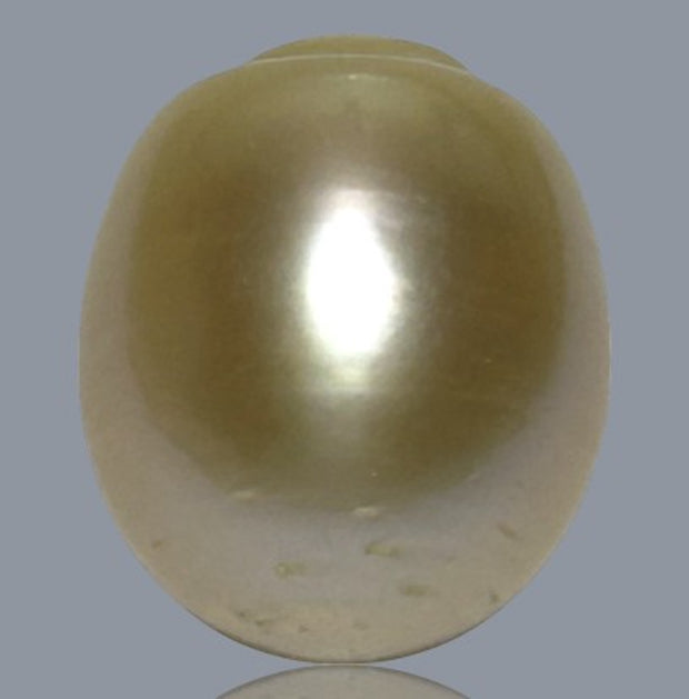 Smooth 13.9 x 16.4mm 23.6 Carats Gold South Sea Pearl Loose