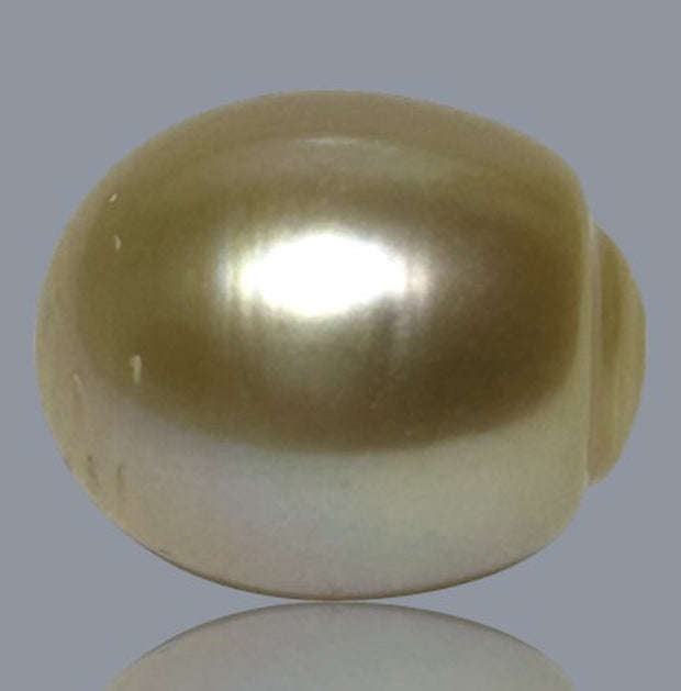 Smooth 13.9 x 16.4mm 23.6 Carats Gold South Sea Pearl Loose