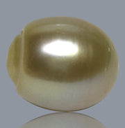 Smooth 13.9 x 16.4mm 23.6 Carats Gold South Sea Pearl Loose