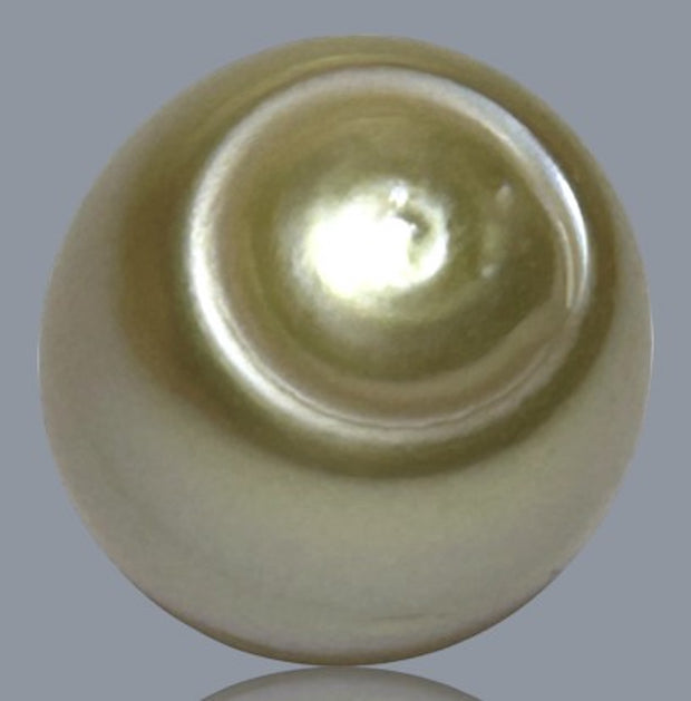 Smooth 13.9 x 16.4mm 23.6 Carats Gold South Sea Pearl Loose