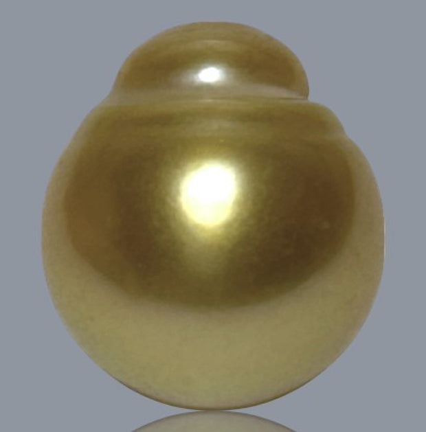 Oval 14 x 15.8mm 20.6 Carats Deep Gold South Sea Loose Pearl