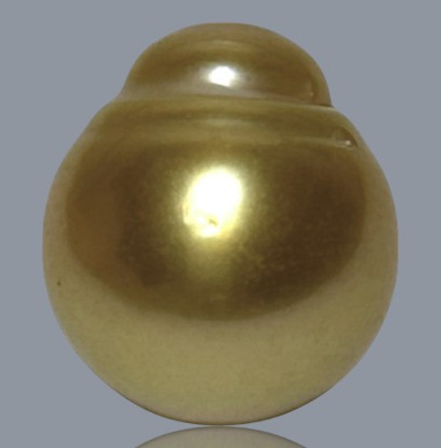 Oval 14 x 15.8mm 20.6 Carats Deep Gold South Sea Loose Pearl