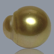 Oval 14 x 15.8mm 20.6 Carats Deep Gold South Sea Loose Pearl