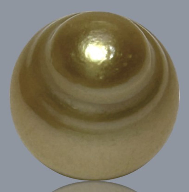 Oval 14 x 15.8mm 20.6 Carats Deep Gold South Sea Loose Pearl