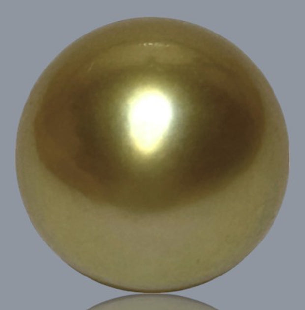 Oval 14 x 15.8mm 20.6 Carats Deep Gold South Sea Loose Pearl