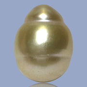 Baroque Giant 13.9 x 18.2mm 23.8 Carats Rich Gold South Sea Pearl