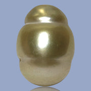 Baroque Giant 13.9 x 18.2mm 23.8 Carats Rich Gold South Sea Pearl