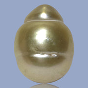 Baroque Giant 13.9 x 18.2mm 23.8 Carats Rich Gold South Sea Pearl