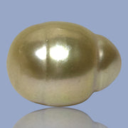 Baroque Giant 13.9 x 18.2mm 23.8 Carats Rich Gold South Sea Pearl