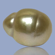 Baroque Giant 13.9 x 18.2mm 23.8 Carats Rich Gold South Sea Pearl