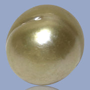 Baroque Giant 13.9 x 18.2mm 23.8 Carats Rich Gold South Sea Pearl