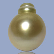 Smooth Super Giant 15.7 x 20mm 29.8 Carats Rich Gold South Sea Pearl