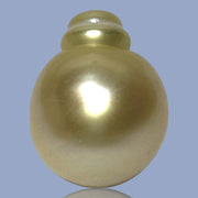 Smooth Super Giant 15.7 x 20mm 29.8 Carats Rich Gold South Sea Pearl