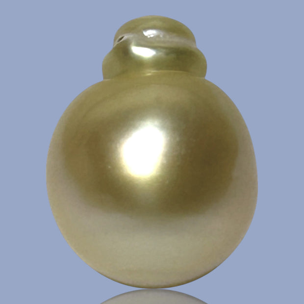 Smooth Super Giant 15.7 x 20mm 29.8 Carats Rich Gold South Sea Pearl