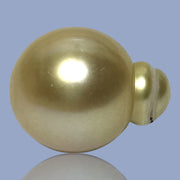 Smooth Super Giant 15.7 x 20mm 29.8 Carats Rich Gold South Sea Pearl