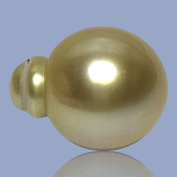 Smooth Super Giant 15.7 x 20mm 29.8 Carats Rich Gold South Sea Pearl