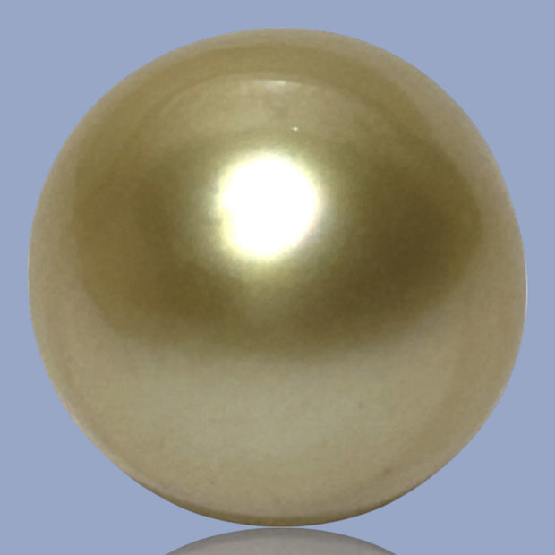 Smooth Super Giant 15.7 x 20mm 29.8 Carats Rich Gold South Sea Pearl