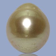 Silky Giant 14.8 x 17mm 26.3 Carats Rich Gold South Sea Pearl