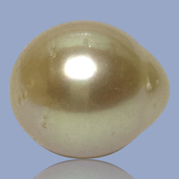 Silky Giant 14.8 x 17mm 26.3 Carats Rich Gold South Sea Pearl