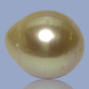 Silky Giant 14.8 x 17mm 26.3 Carats Rich Gold South Sea Pearl