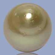 Silky Giant 14.8 x 17mm 26.3 Carats Rich Gold South Sea Pearl