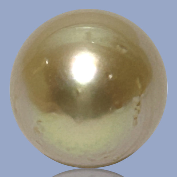 Silky Giant 14.8 x 17mm 26.3 Carats Rich Gold South Sea Pearl