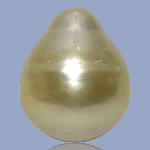 Oval Drop Giant 14.3 x 17.3mm Philippines South Sea Gold Pearl