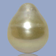 Oval Drop Giant 14.3 x 17.3mm Philippines South Sea Gold Pearl