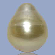 Oval Drop Giant 14.3 x 17.3mm Philippines South Sea Gold Pearl