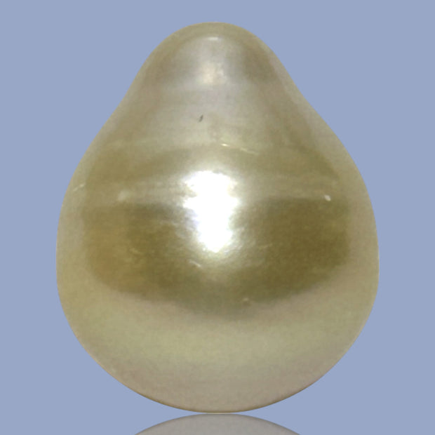 Oval Drop Giant 14.3 x 17.3mm Philippines South Sea Gold Pearl