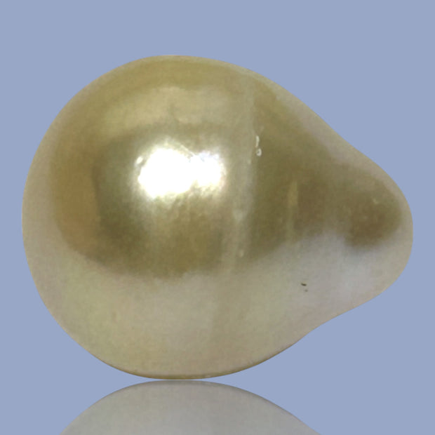 Oval Drop Giant 14.3 x 17.3mm Philippines South Sea Gold Pearl