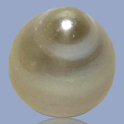 Oval Drop Giant 14.3 x 17.3mm Philippines South Sea Gold Pearl