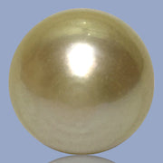 Oval Drop Giant 14.3 x 17.3mm Philippines South Sea Gold Pearl