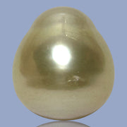 Unique Giant 14.8 x 16.4mm 25.3 Carats Gold Philippines South Sea Pearl