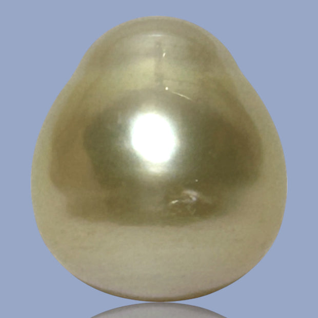 Unique Giant 14.8 x 16.4mm 25.3 Carats Gold Philippines South Sea Pearl