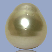 Unique Giant 14.8 x 16.4mm 25.3 Carats Gold Philippines South Sea Pearl