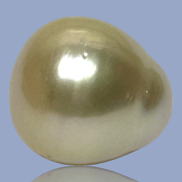 Unique Giant 14.8 x 16.4mm 25.3 Carats Gold Philippines South Sea Pearl