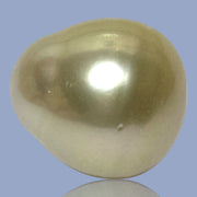 Unique Giant 14.8 x 16.4mm 25.3 Carats Gold Philippines South Sea Pearl