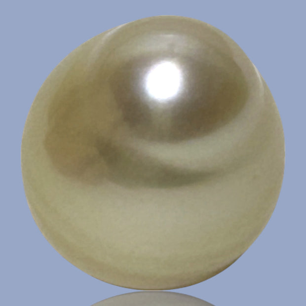 Unique Giant 14.8 x 16.4mm 25.3 Carats Gold Philippines South Sea Pearl