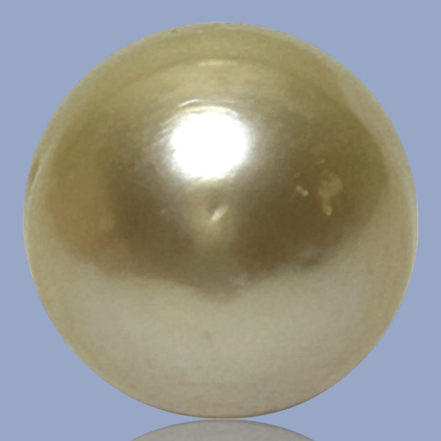 Unique Giant 14.8 x 16.4mm 25.3 Carats Gold Philippines South Sea Pearl